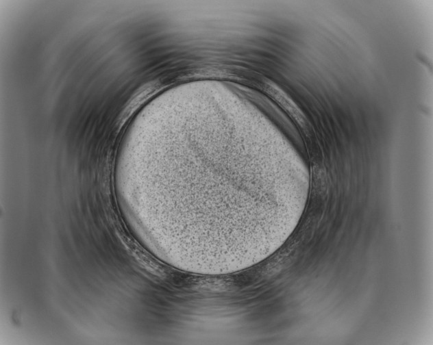 X0000096721002200803041358