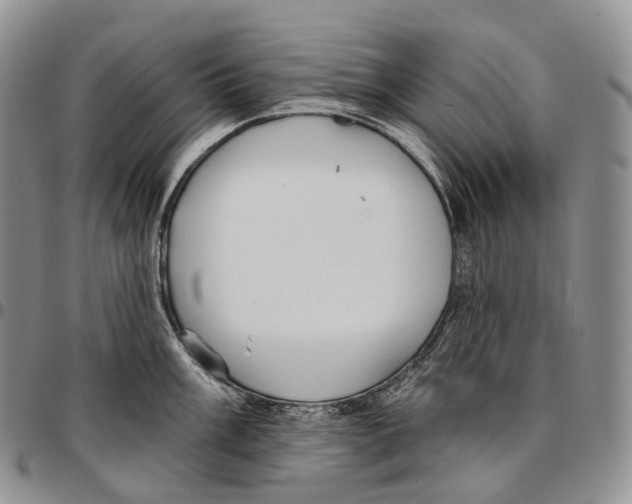 X0000096721003200803041358