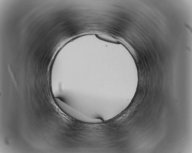 X0000096721004200803041358