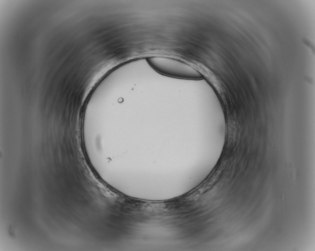 X0000096721006200803041358