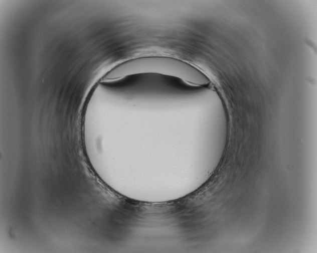 X0000096721008200803041358