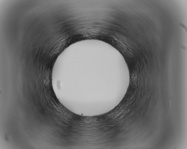 X0000096721012200803041357