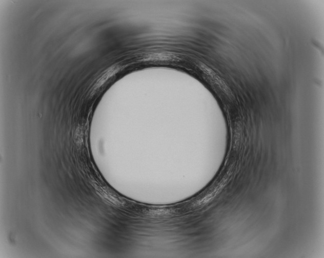 X0000096721017200803041357