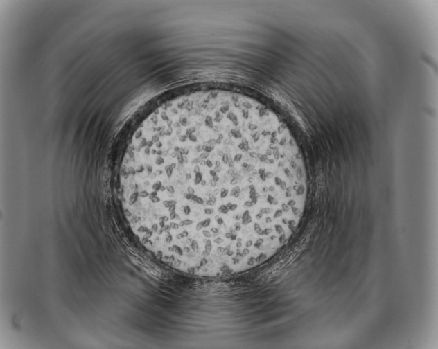 X0000096721019200803041357