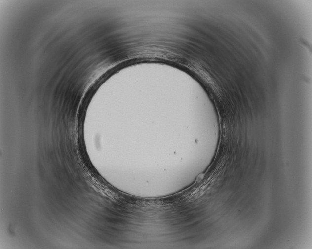 X0000096721020200803041357