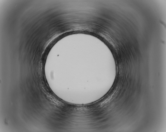 X0000096721021200803041357