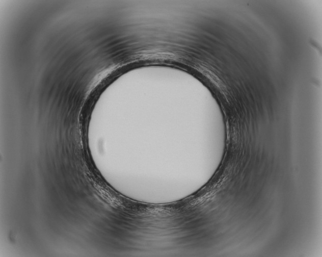 X0000096721022200803041357