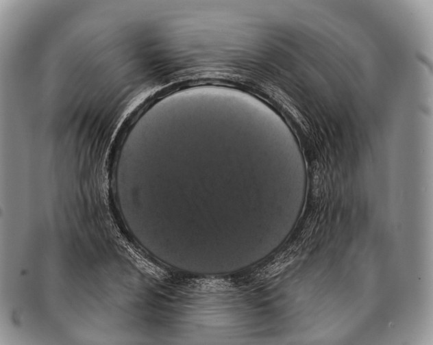 X0000096721024200803041357