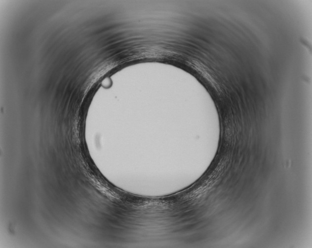 X0000096721026200803041357