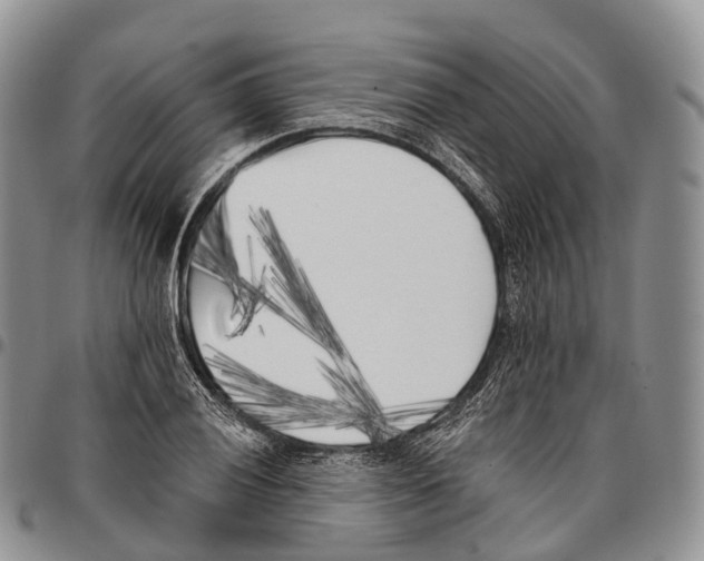 X0000096721028200803041357