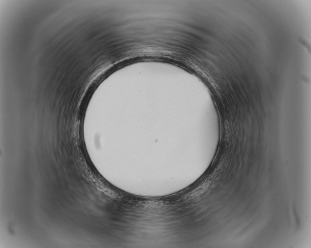 X0000096721029200803041357