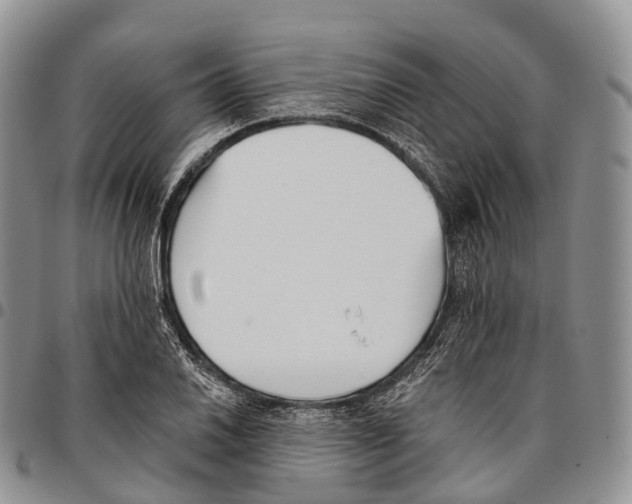 X0000096721030200803041357