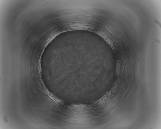 X0000096721031200803041357