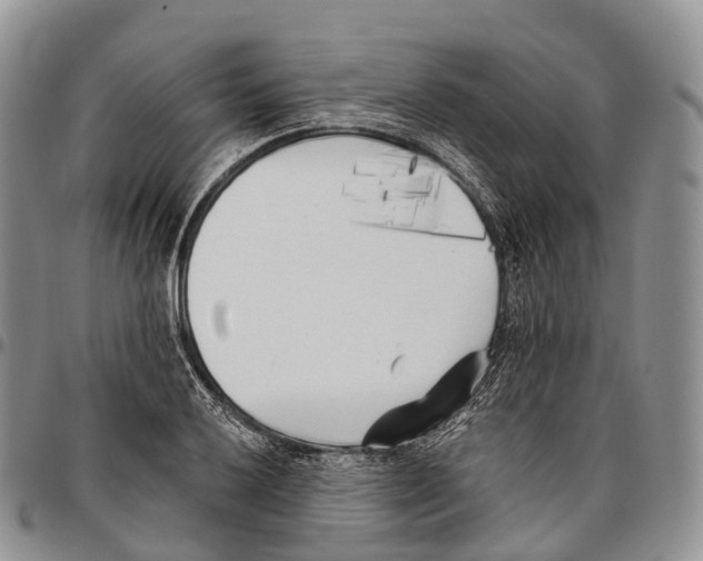 X0000096721032200803041357