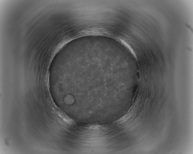 X0000096721035200803041357