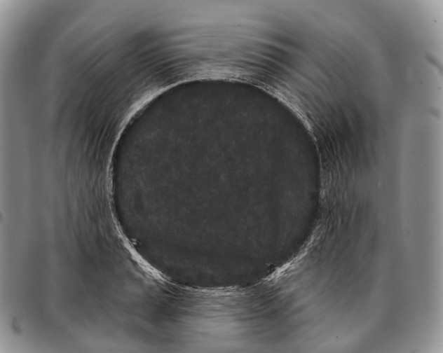 X0000096721037200803041357