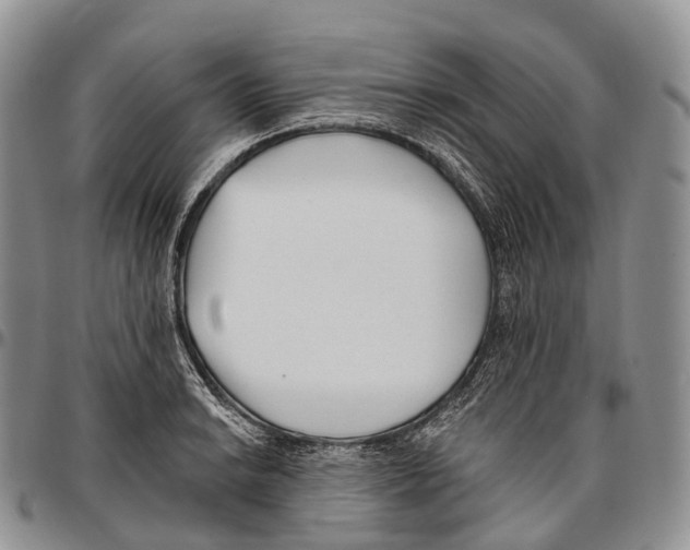 X0000096721038200803041357