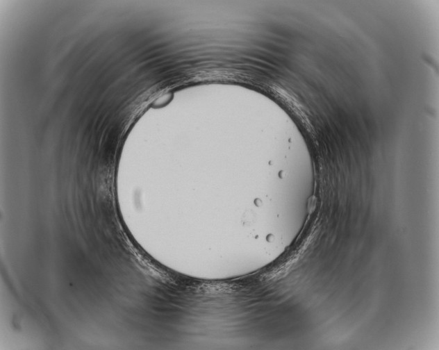 X0000096721041200803041358