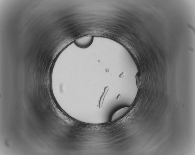 X0000096721042200803041358