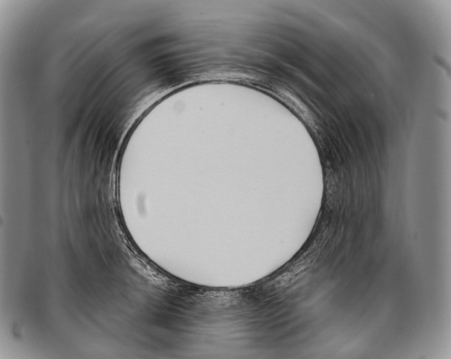 X0000096721044200803041358