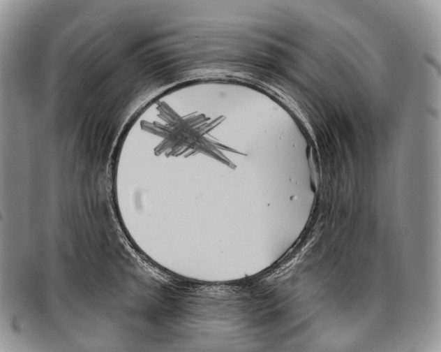 X0000096721045200803041358