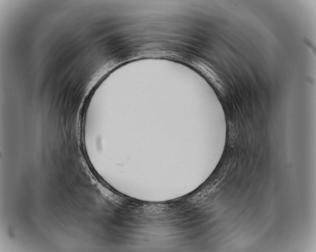 X0000096721046200803041358