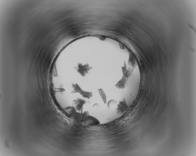 X0000096721048200803041358