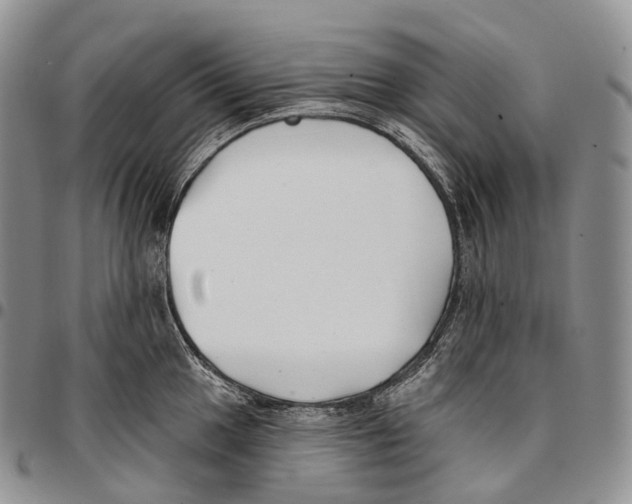 X0000096721049200803041358