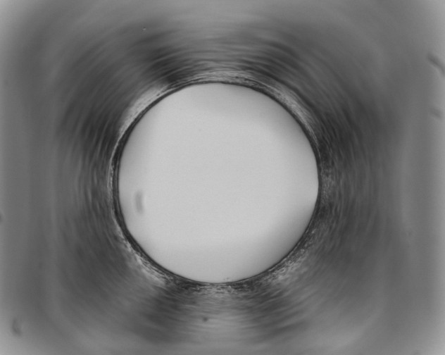 X0000096721050200803041358