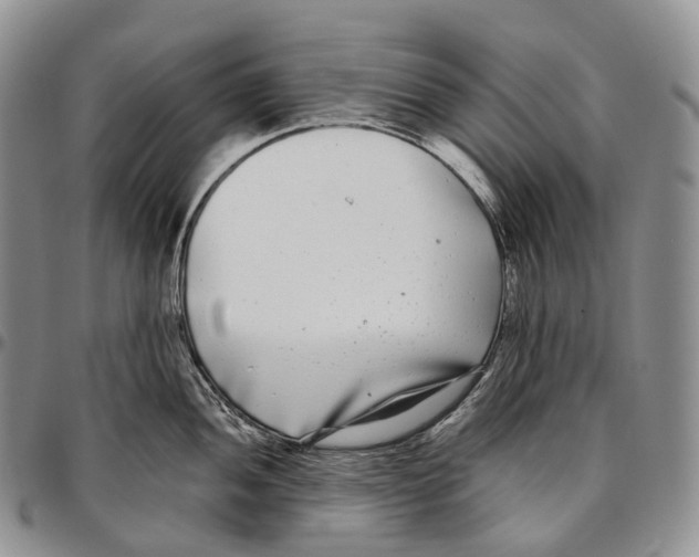 X0000096721052200803041358