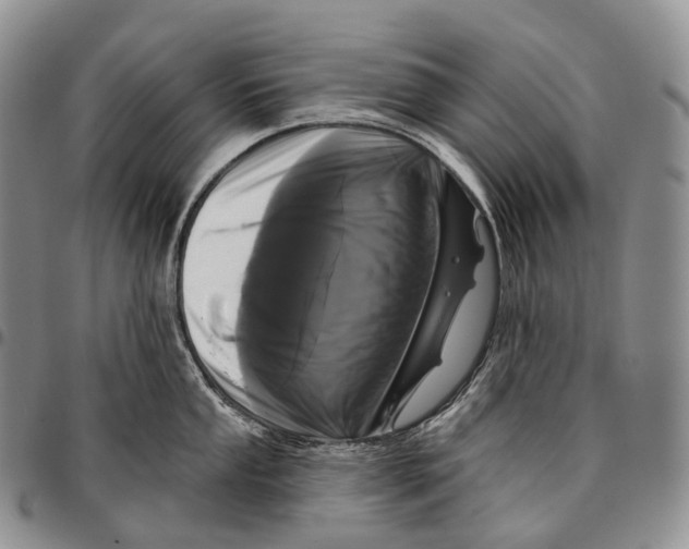 X0000096721053200803041358