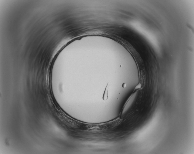 X0000096721054200803041358