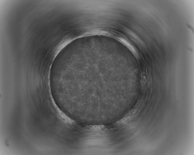 X0000096721055200803041358