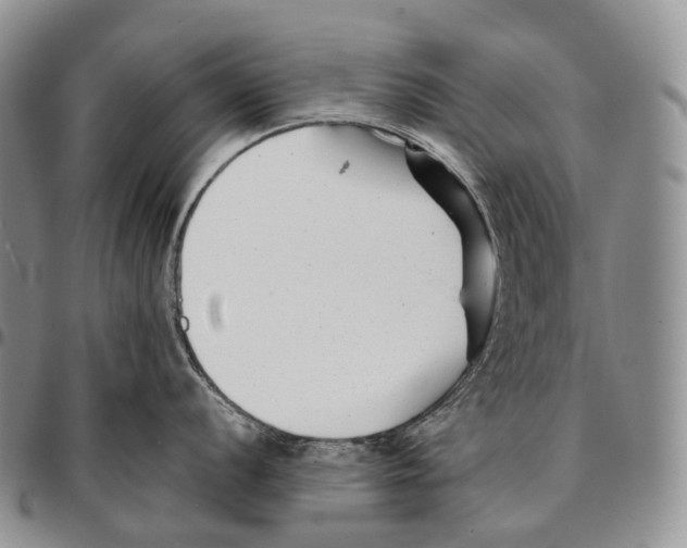 X0000096721056200803041358