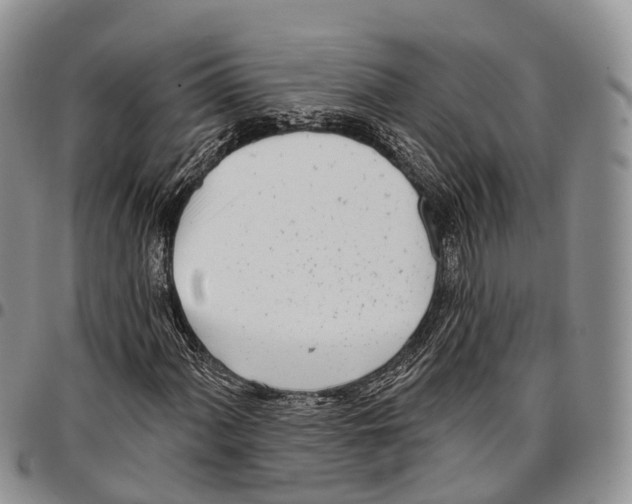 X0000096721060200803041357