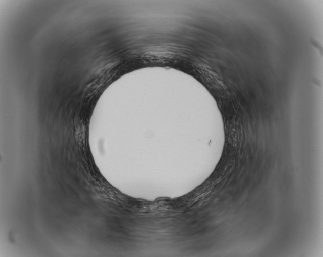 X0000096721061200803041357