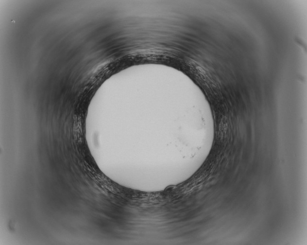 X0000096721062200803041357