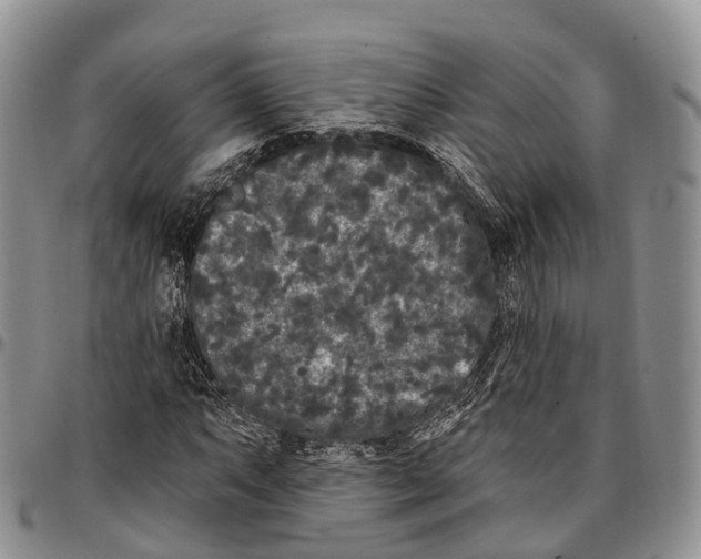 X0000096721063200803041357