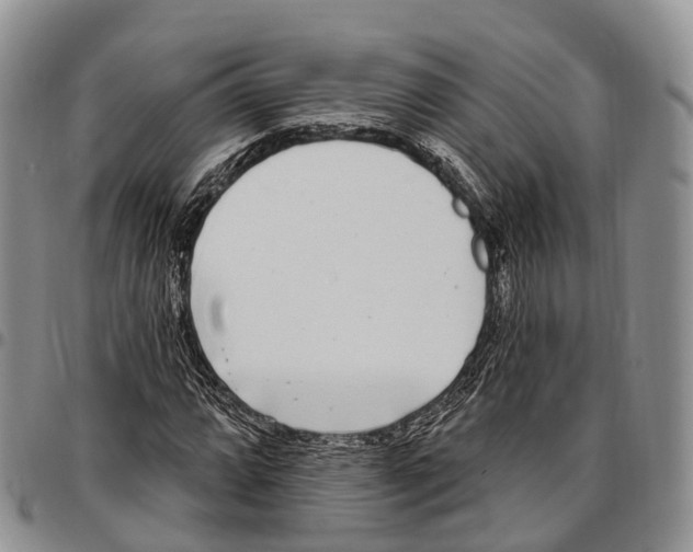 X0000096721064200803041357