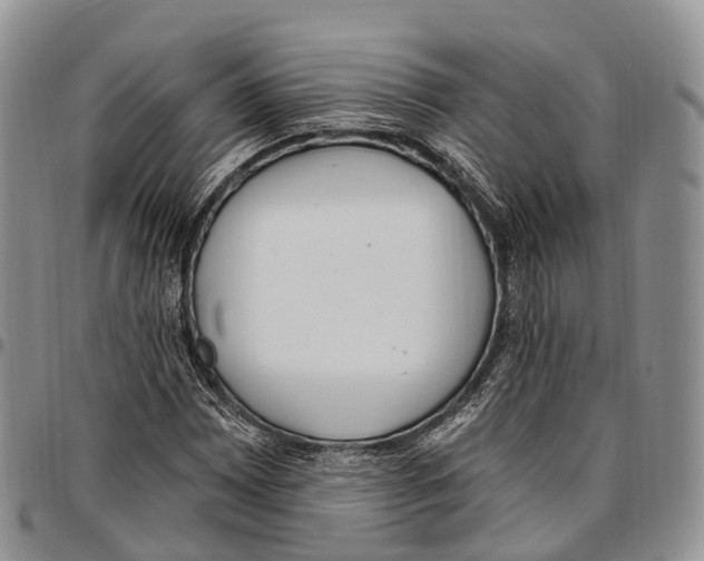 X0000096721065200803041357