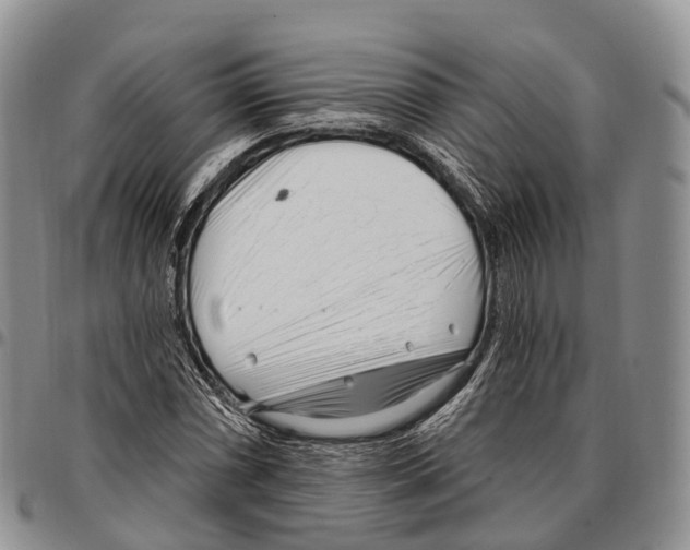 X0000096721066200803041357