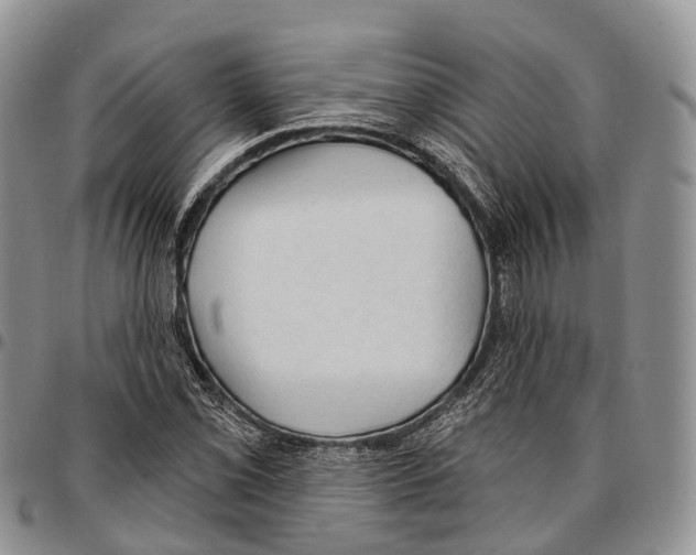 X0000096721069200803041357