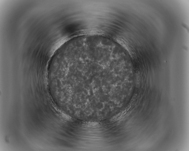 X0000096721071200803041357