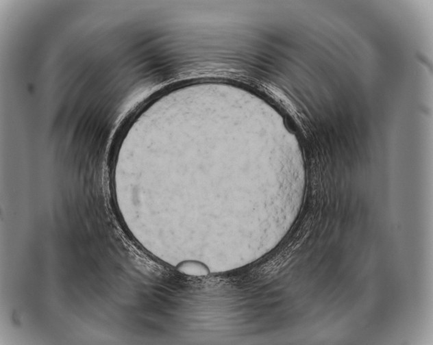 X0000096721072200803041357