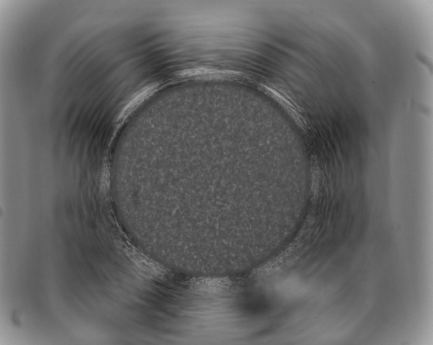 X0000096721074200803041357