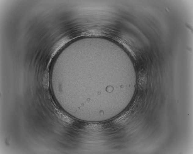 X0000096721075200803041357