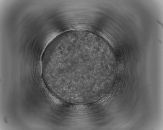 X0000096721079200803041357