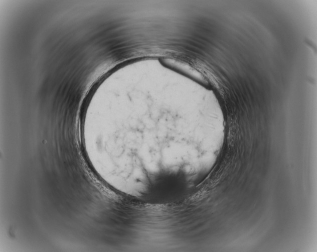 X0000096721080200803041357