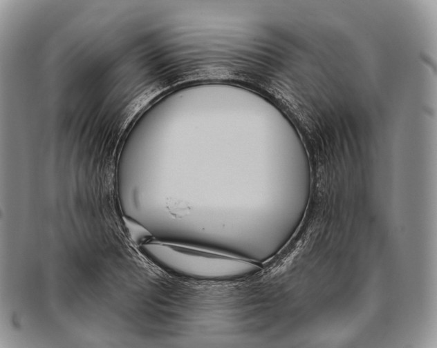 X0000096721081200803041357