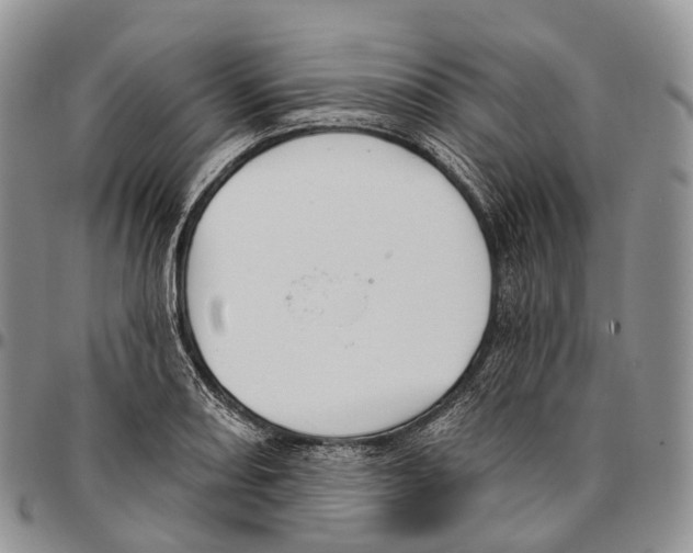 X0000096721082200803041357